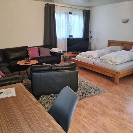 Apartment Zum Wohlfuehlen In Ruhiger Lage Pfungstadt Kültér fotó