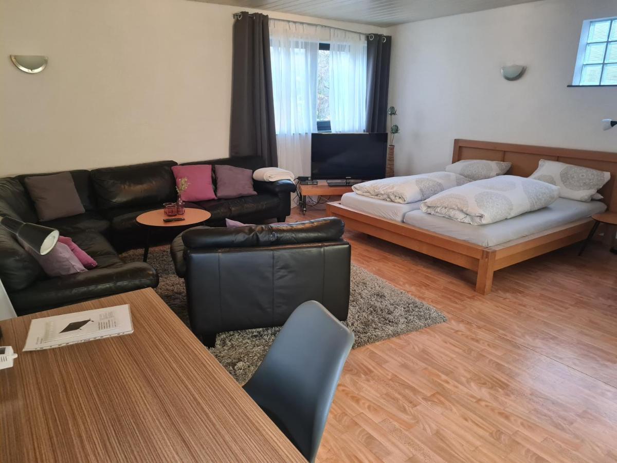 Apartment Zum Wohlfuehlen In Ruhiger Lage Pfungstadt Kültér fotó