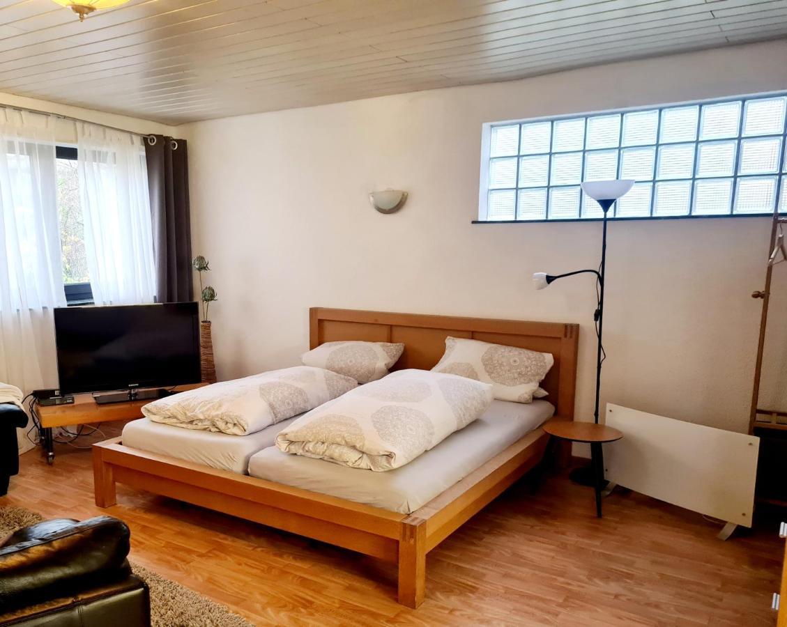 Apartment Zum Wohlfuehlen In Ruhiger Lage Pfungstadt Kültér fotó